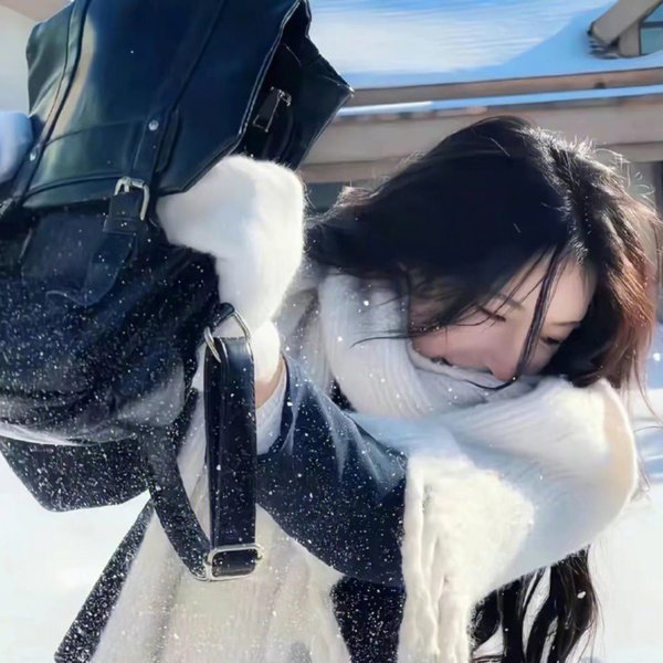 四大才子番外之真假唐伯虎